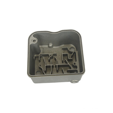 Customized Die Casting Housing for Auto Part (DR345)